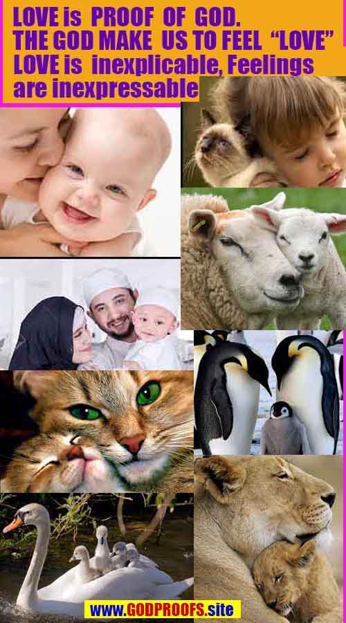  proofs of god, evidences of god, god-proofs, god-signs, god-evidences, god exists, god-real, god is real,god-exists, #god, #godreal, #godexists, #godproofs, #godevidences