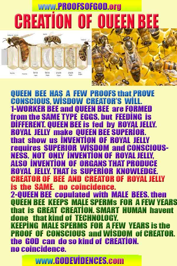 god proofs signs evidences, god exist, godreal, god is real, 上帝存在，上帝的证据，上帝的证据，上帝的迹象，
ईश्वर का अस्तित्व है, ईश्वर के प्रमाण, ईश्वर के प्रमाण, ईश्वर के लक्षण,
신은 존재한다, 신의 증거, 신의 증거, 신의 표징,
Бог существует, доказательства существования Бога, доказательства существования Бога, знаки Бога,
神は存在する、神の証拠、神の証拠、神のしるし