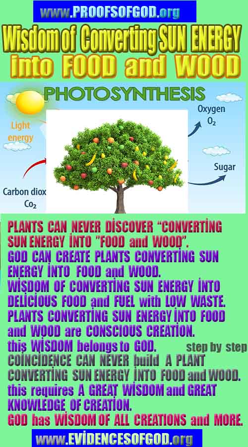 proofs of god, evidences of god, god-proofs, god-signs, god-evidences, god exists, god-real, god is real,god-exists, #god, #godreal, #godexists, #godproofs, #godevidences