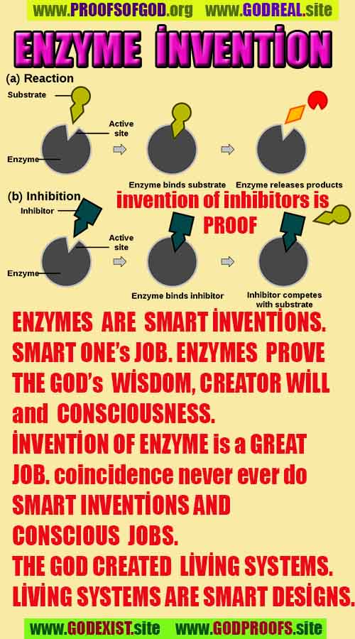 god proofs signs evidences, god exist, godreal, god is real, 上帝存在，上帝的证据，上帝的证据，上帝的迹象，
ईश्वर का अस्तित्व है, ईश्वर के प्रमाण, ईश्वर के प्रमाण, ईश्वर के लक्षण,
신은 존재한다, 신의 증거, 신의 증거, 신의 표징,
Бог существует, доказательства существования Бога, доказательства существования Бога, знаки Бога,
神は存在する、神の証拠、神の証拠、神のしるし