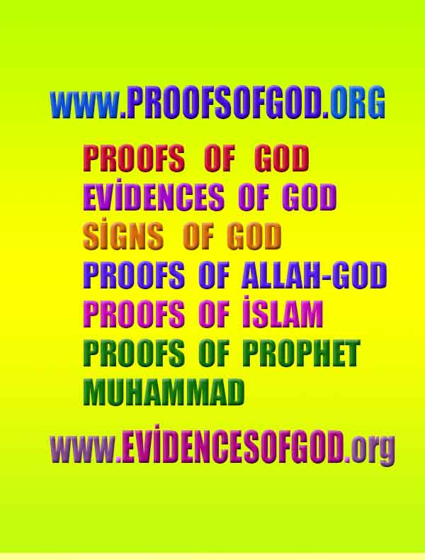 proofs of god, evidences of god, god-proofs, god-signs, god-evidences, god exists, god-real, god is real,god-exists, #god, #godreal, #godexists, #godproofs, #godevidences